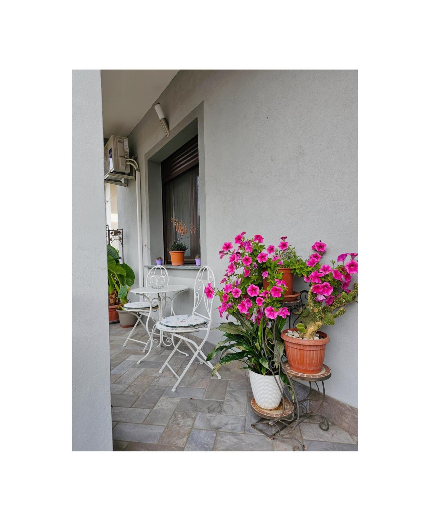 Bed & Breakfast The Dreamers Cardano Al Campo